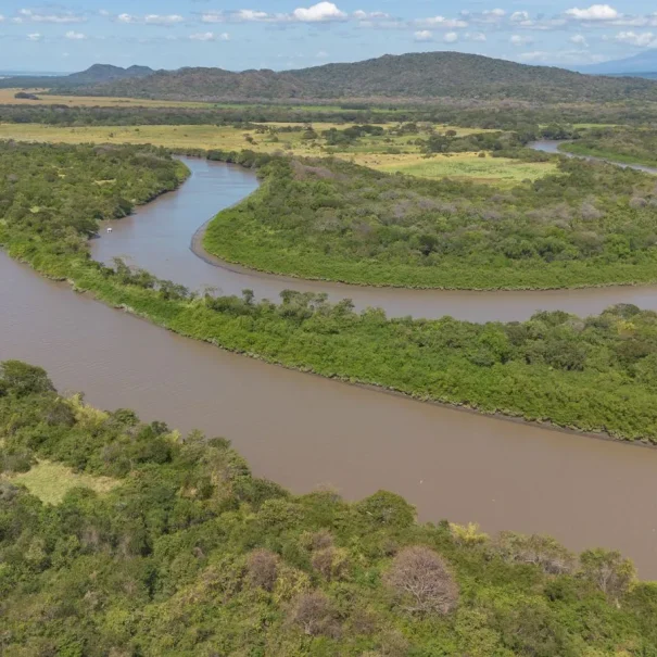 Tempisque River Boat Tour aerial view of wetlands in Guanacaste